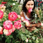Медицинский центр Живица+ на улице Октябрьской Революции Фотография 8