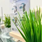 WeClinic Фотография 17